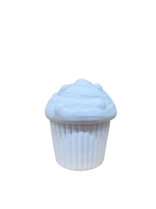 Large Cupcake Box