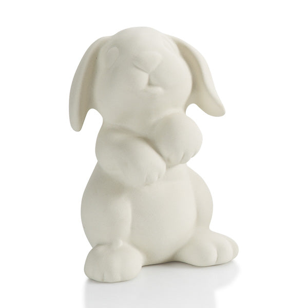 Rabbit Party Animal