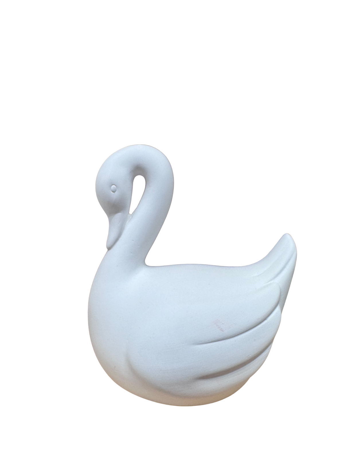 Swan