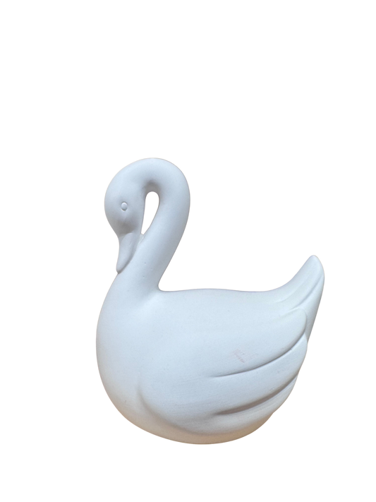 Swan