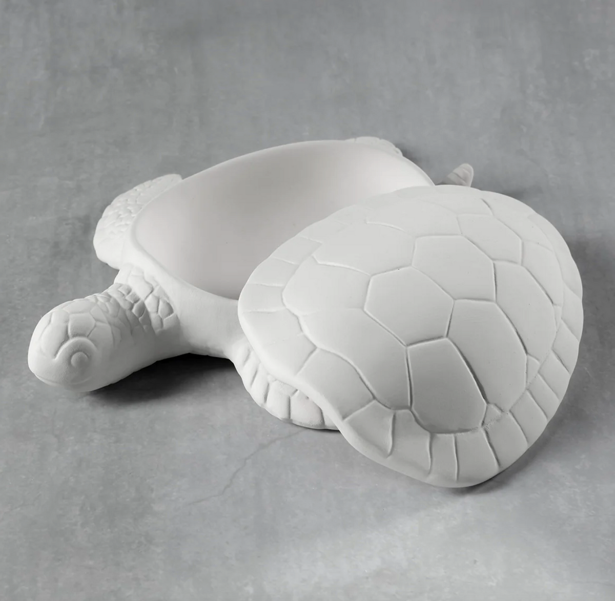 Sea Turtle Box