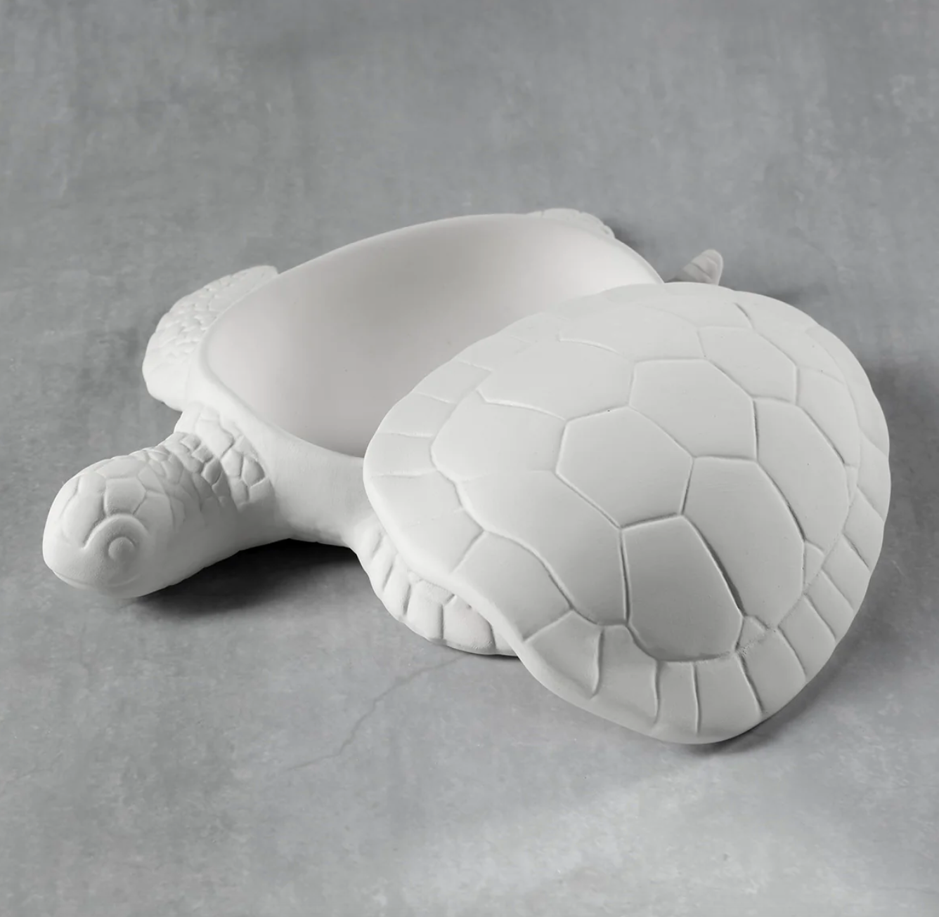 Sea Turtle Box