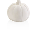 Pumpkin Party Animal
