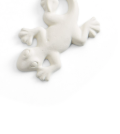 Gecko bisquie