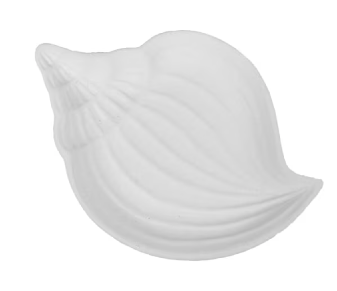 Little Shell Dish