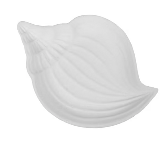 Little Shell Dish