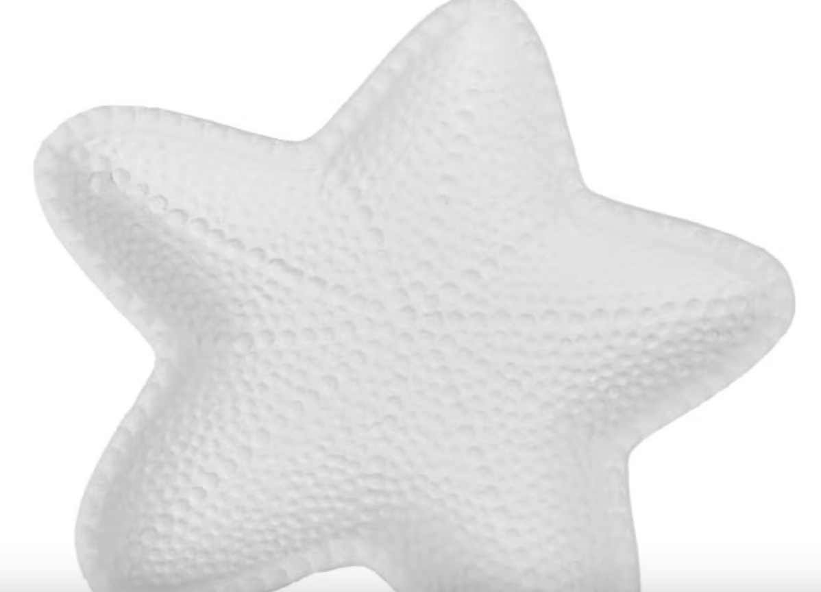 Little Starfish Dish