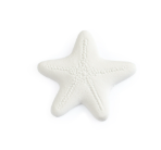 Starfish Bisquie