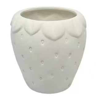 Strawberry Pot
