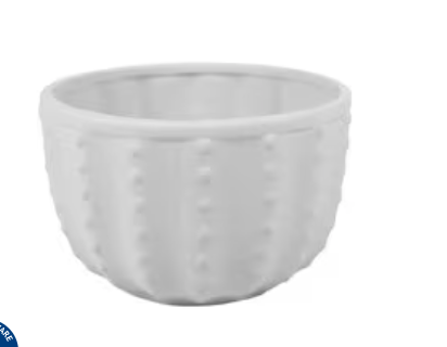 Cactus Bowl