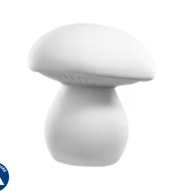 Whimsy Mushroom