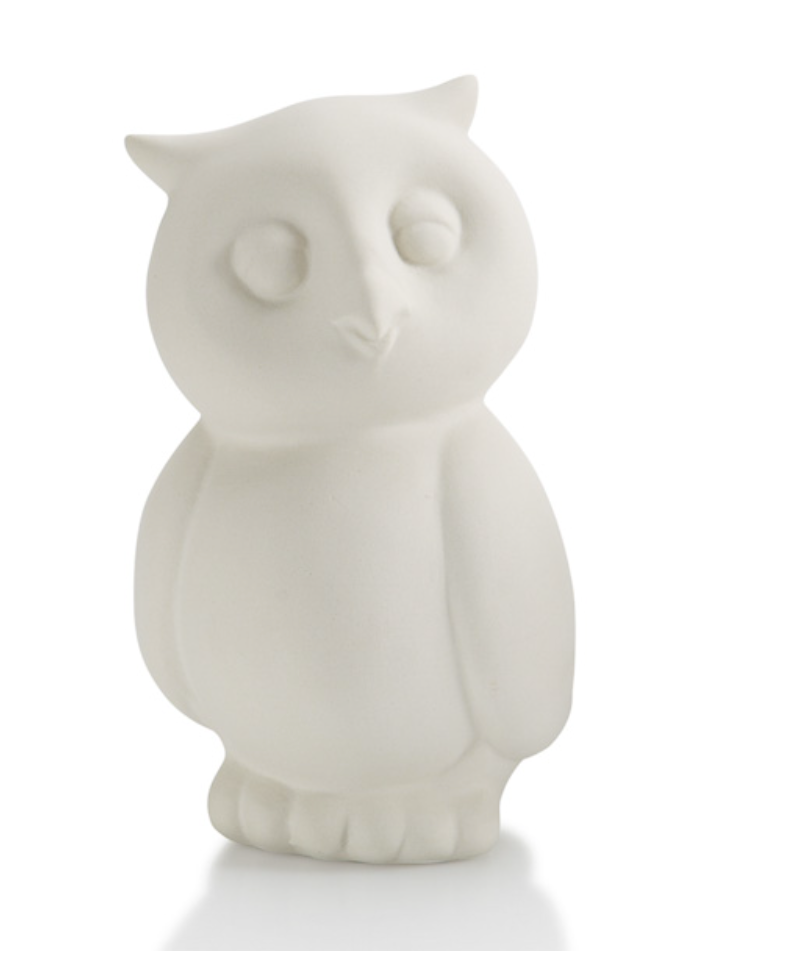 Owl Party Animal