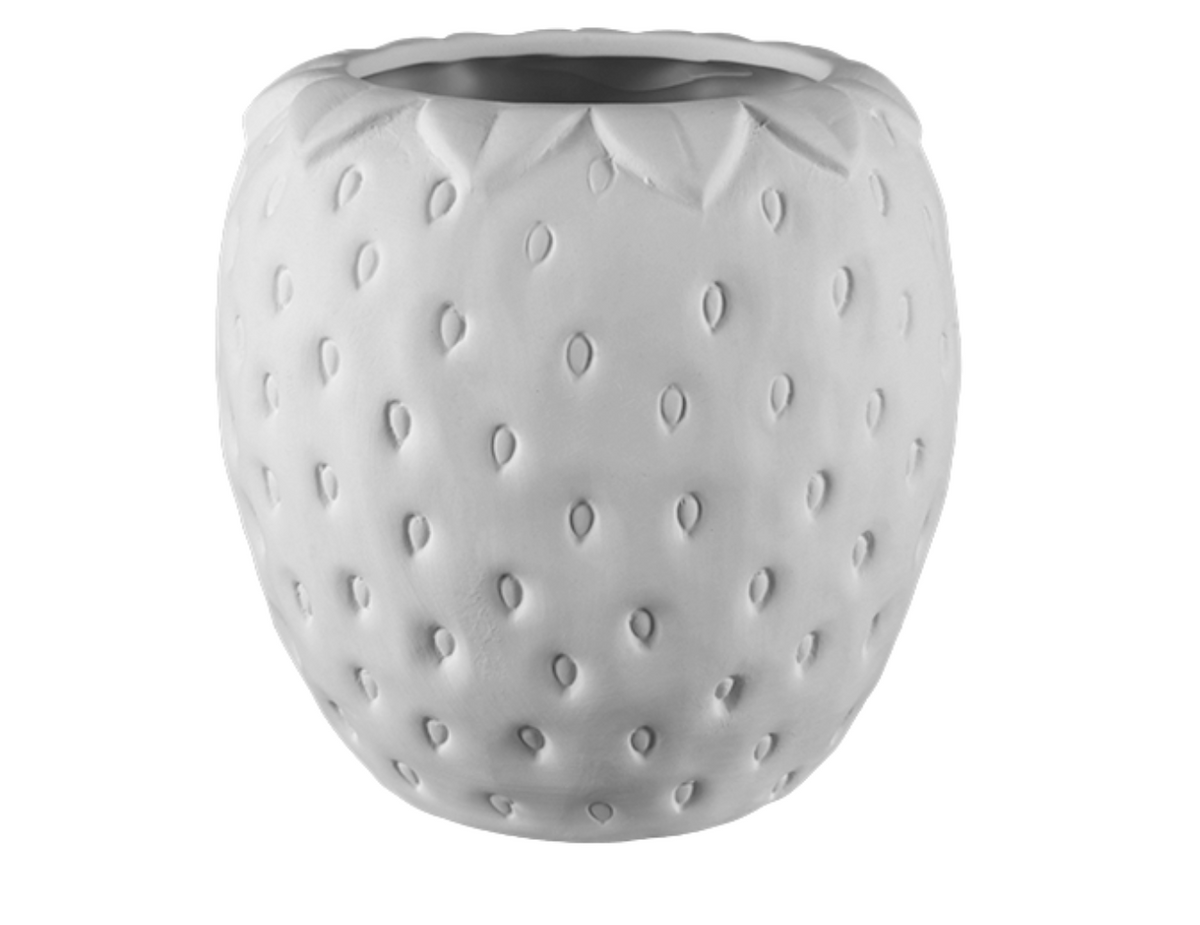 strawberry container