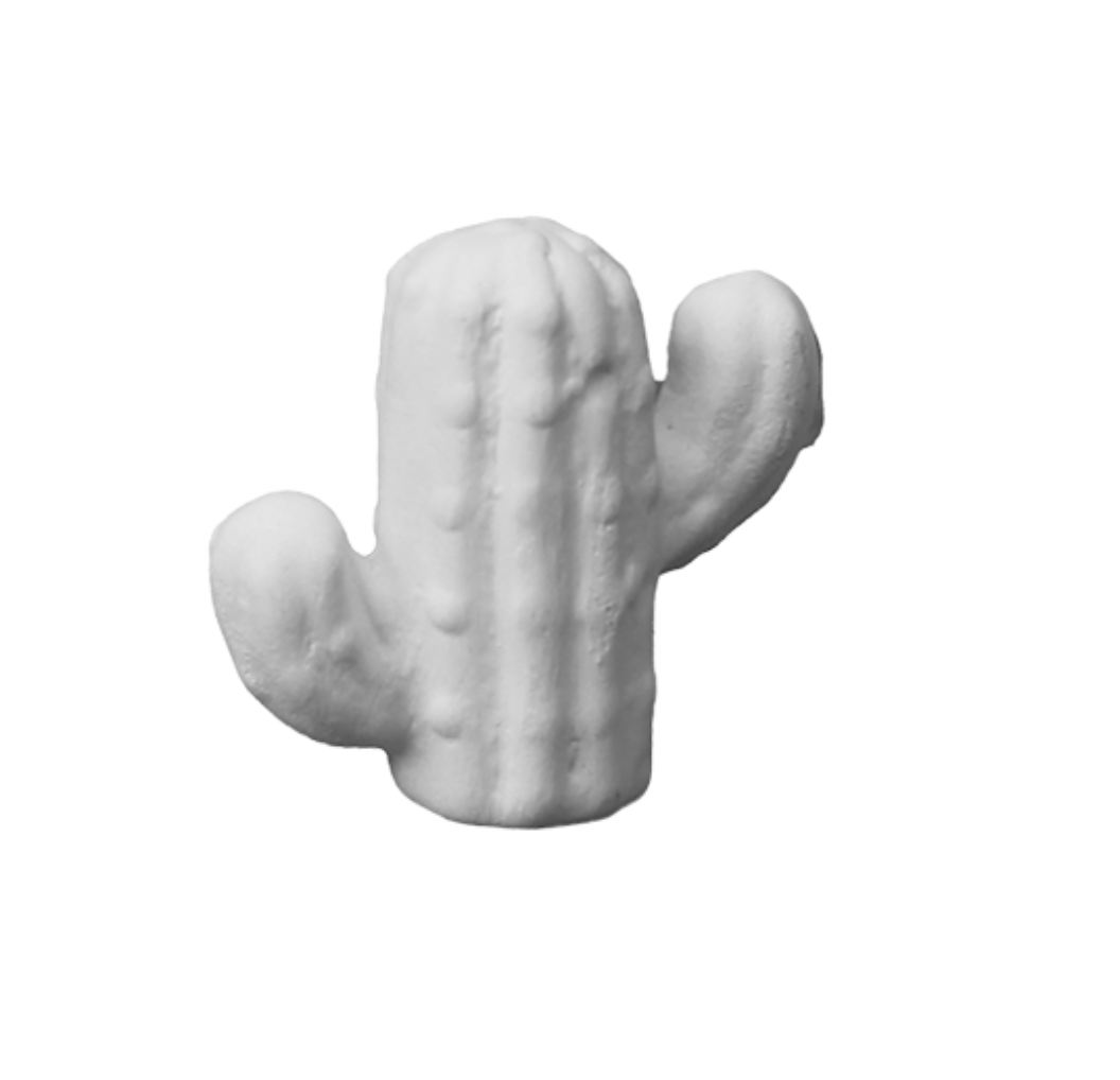 Saguaro Cactus Tot
