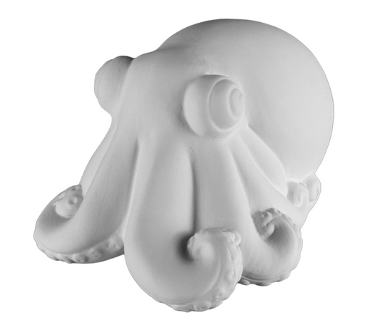 Ringo the Octopus