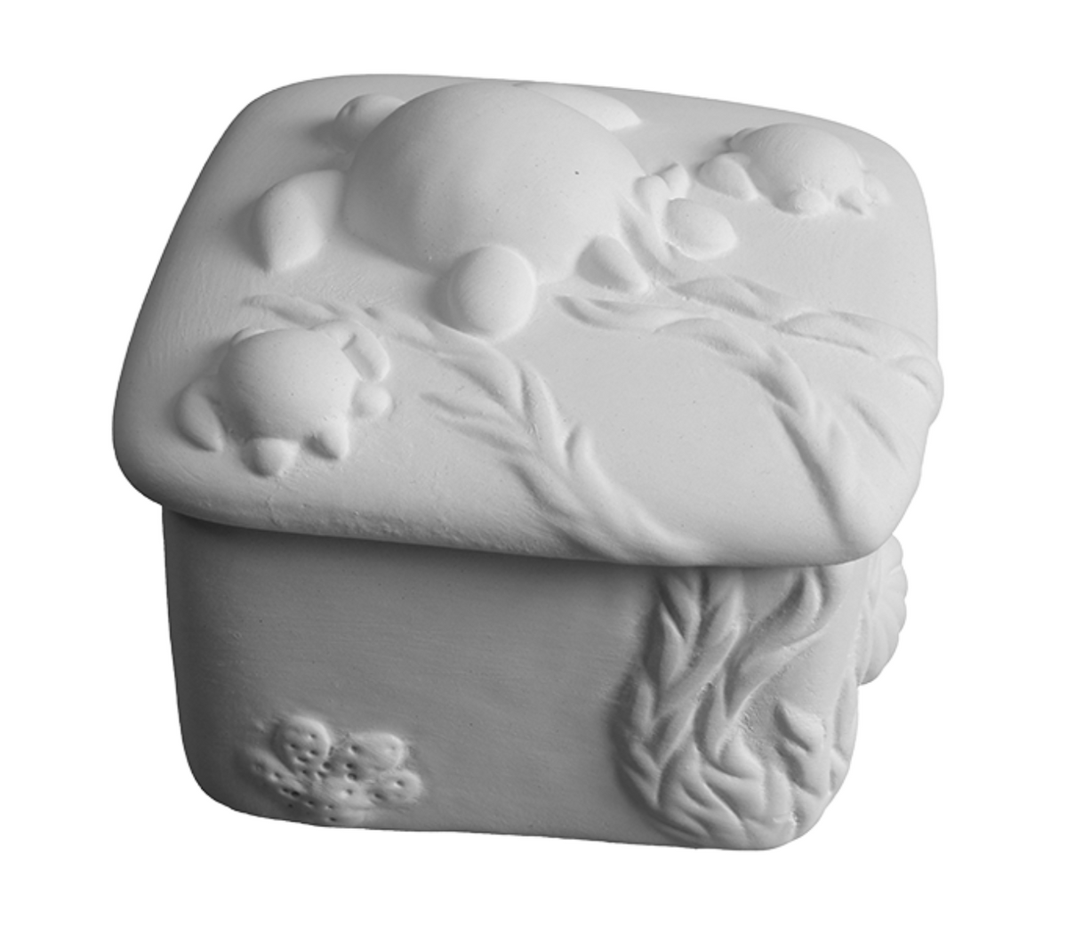 Turtle Family Box