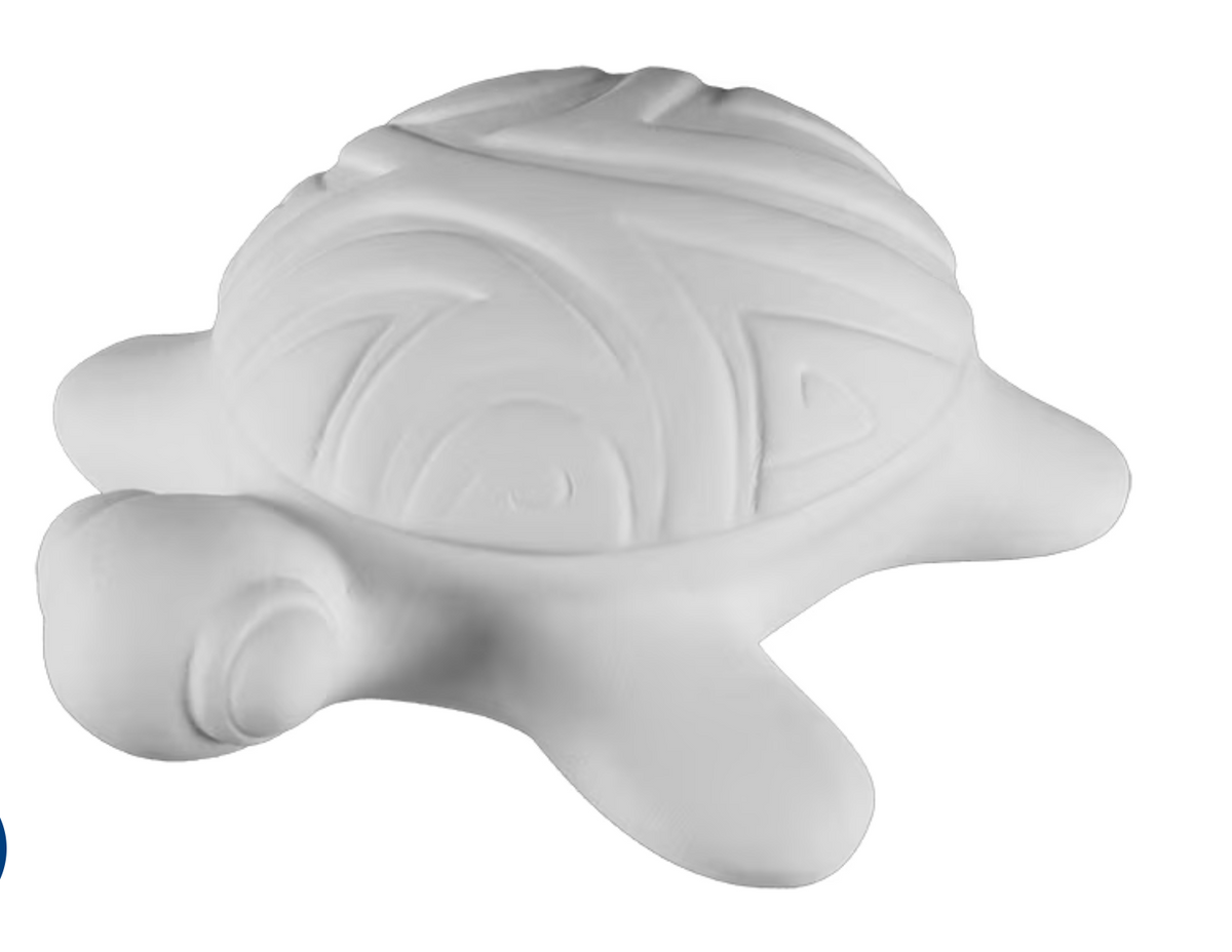 Surf's Up Turtle Box