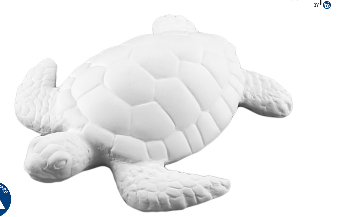 Sea turtle