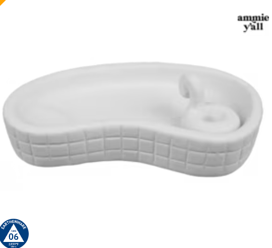 Float on Pool Dish