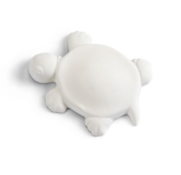 Turtle Bisquie