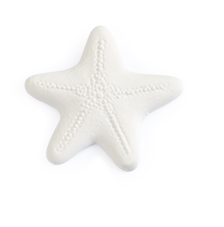 Starfish Bisquie