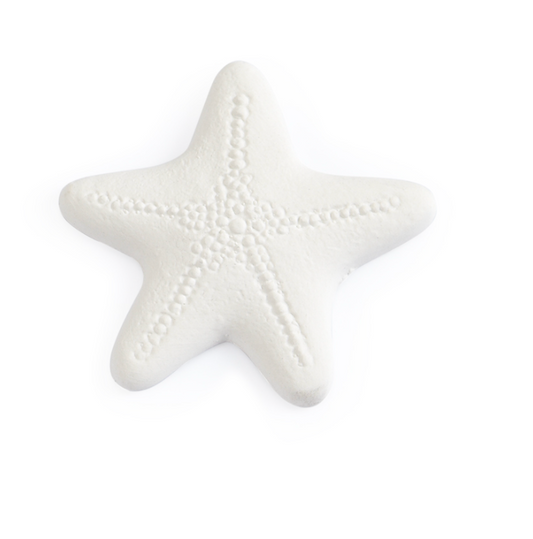 Starfish Bisquie