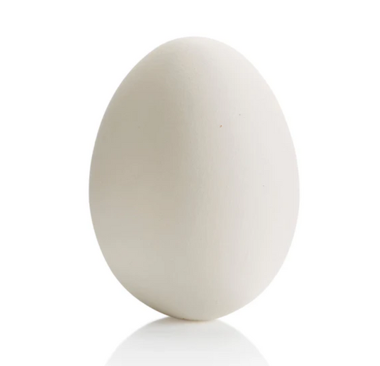Large Egg